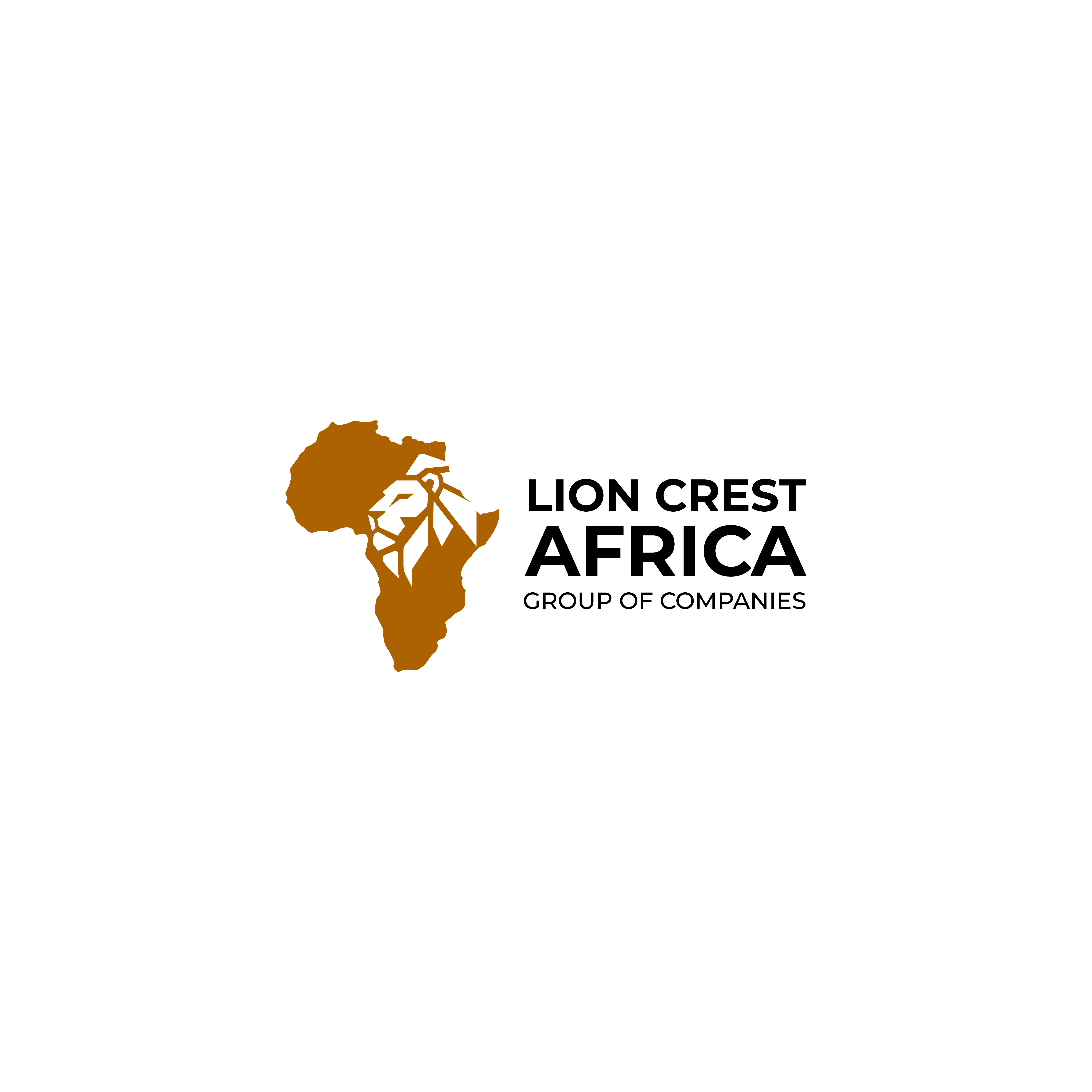 Logo and brand identity design by Mkid Designs, Harare — example 8