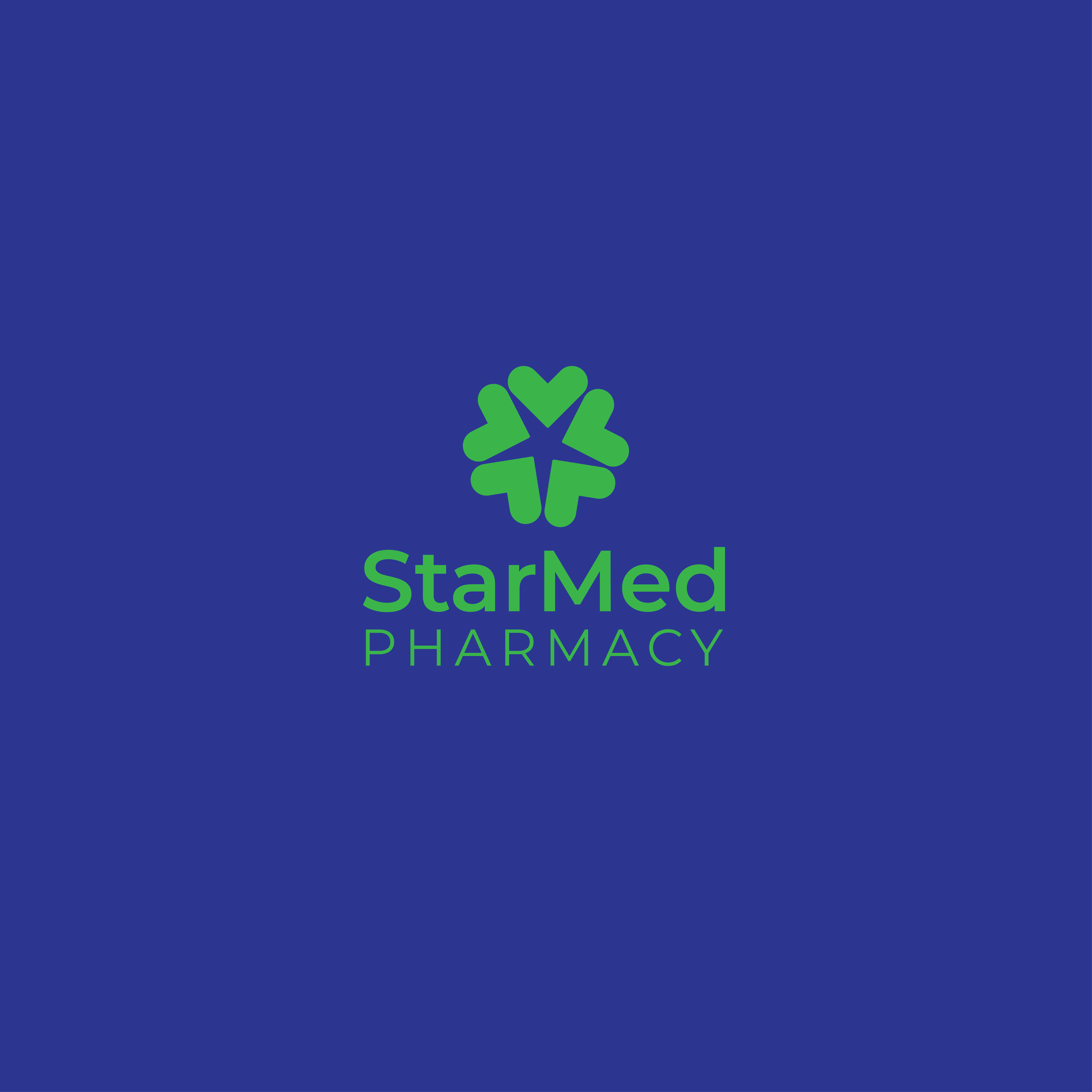 Logo and brand identity design by Mkid Designs, Harare — example 10